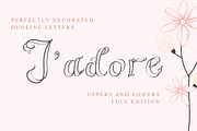 Fleuriste Duoline Font, a Script Font by Anna Zakharchenko (Thumbnail 3 of 11)