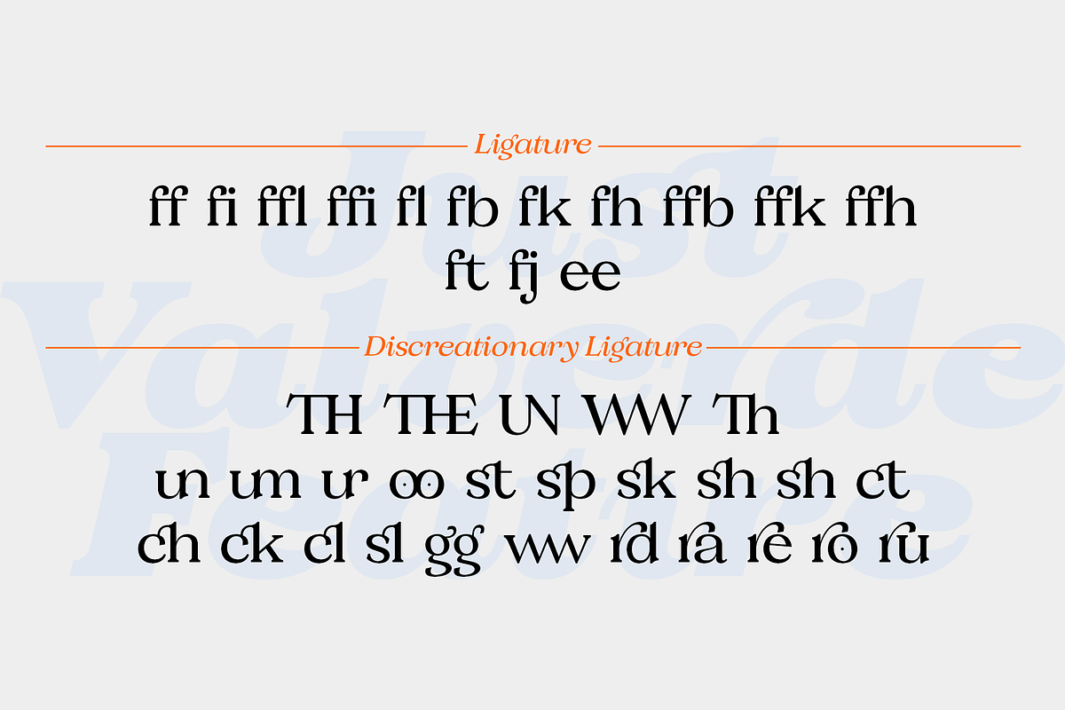 Valverde Functional Serif-36 Fonts, a Serif Font by Jehoo Creative (Photo 9 of 15)