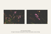 Garden Sunset | Photo Bundle, a Nature Photo by The Responsible Creatives (Thumbnail 8 of 11)