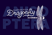 Nauticus Script&Sans, a Script Font by Leitmotif (Thumbnail 2 of 6)