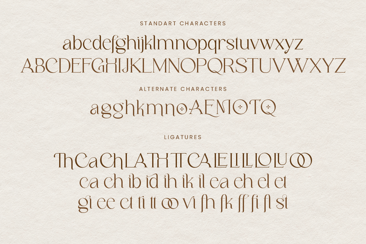 Milchella Beauty Elegant Serif, a Serif Font by Ronny Studio (Photo 15 of 17)