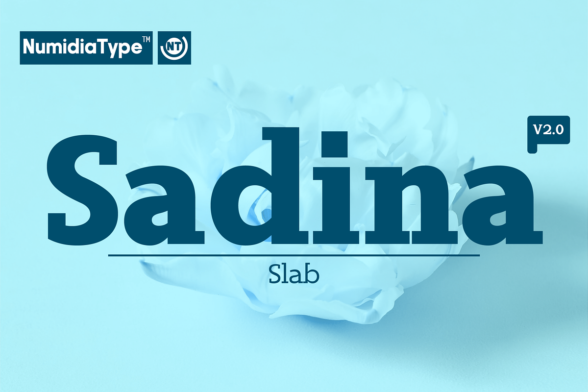 Sadina Slab, a Slab Serif Font by NumidiaType (Photo 1 of 6)