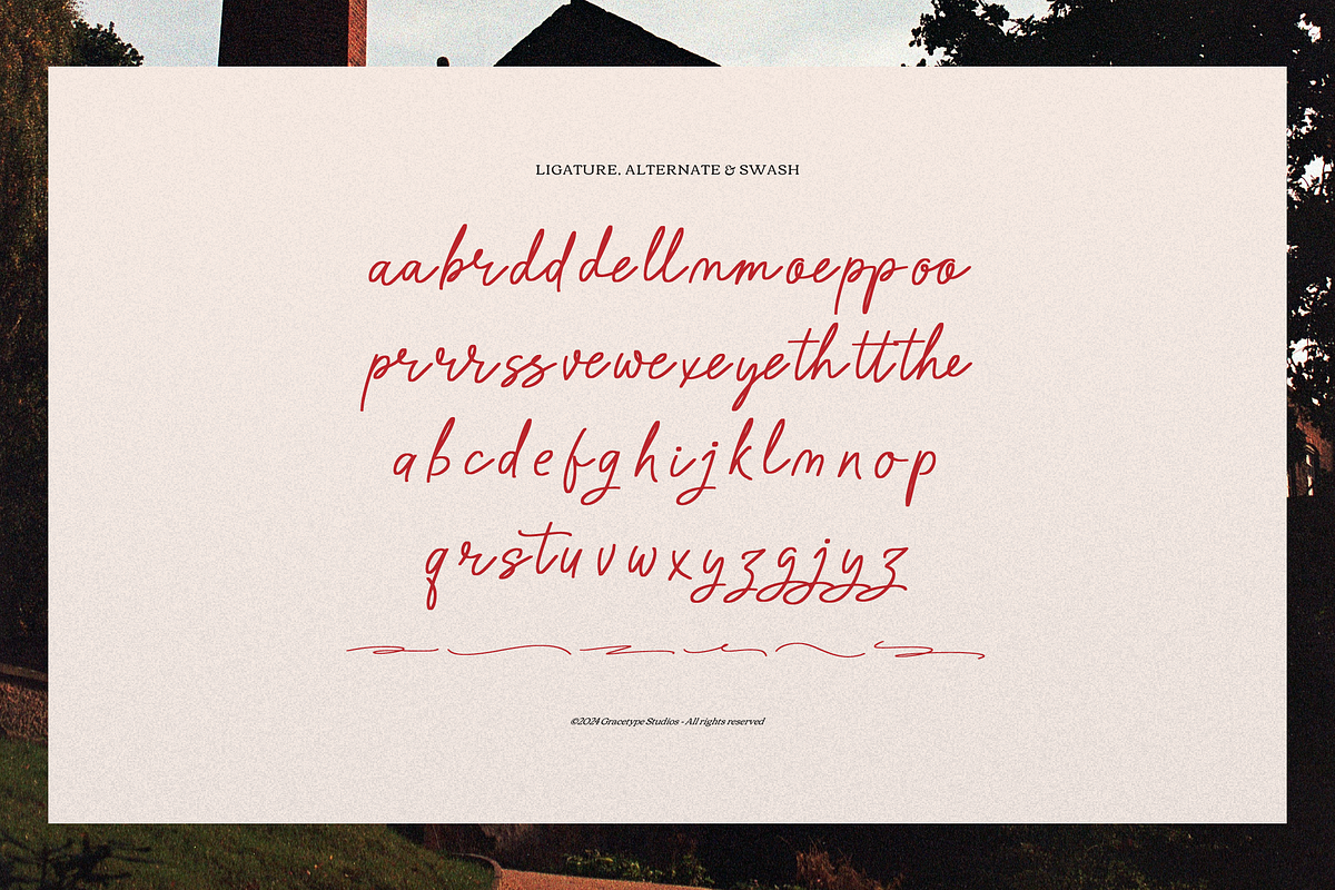 Barrow Waylow | Handwritten Script, a Font by gracetype_studio (Photo 12 of 12)