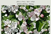 Apple Blossom - Botanical pattern, a Pattern Graphic by NNclipart (Thumbnail 5 of 12)