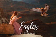 Bald Eagle Overlays, an Object Graphic by DreamyOverlay (Thumbnail 1 of 4)