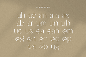 Noah - Elegant Ligature Font