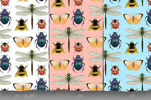 Insect Collection / Pattern Design