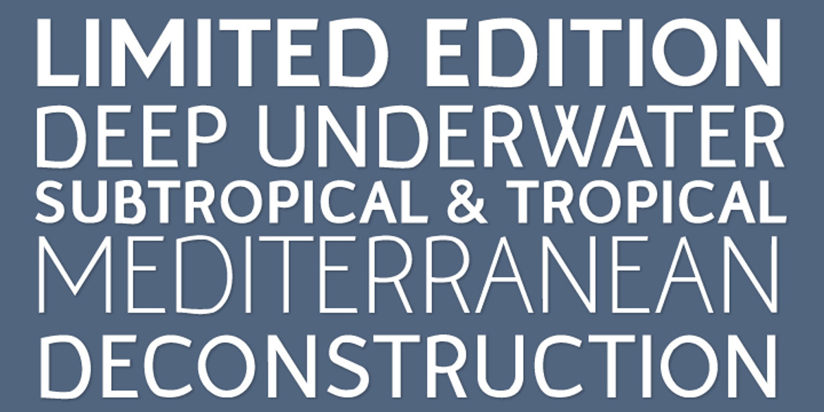 Murena, a Sans Serif Font by Michal Adamiec (Photo 2 of 4)