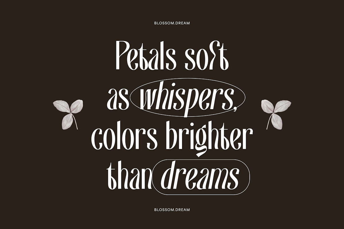 KG Brylliant | Elegant Sans Font, a Sans Serif Font by Krismagraph (Photo 9 of 12)