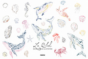Le Sel: Watercolor Sea Illustrations, a Decorative Illustration by Purple (Thumbnail 9 of 12)