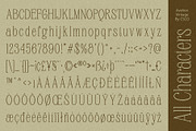 Avelion Vintage, a Serif Font by Craft Supply Co. (Thumbnail 4 of 8)