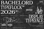 TFC Bachelord - High Contrast Font, a Sans Serif Font by Type Flock (Thumbnail 4 of 15)