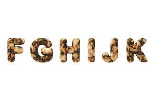 3d leopard font, fluffy alphabet, an Animal Illustration by Marozhkastudio