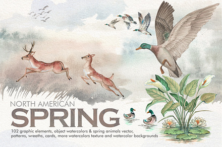 Watercolor North American Spring
