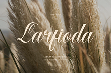 Larfioda | Elegant Script Font