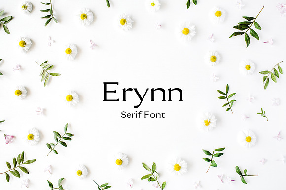 Erynn Serif Font preview 7