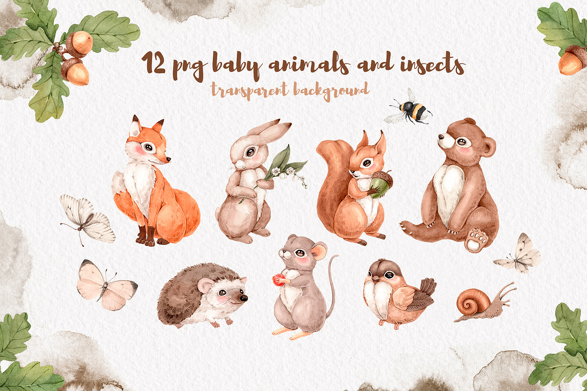 Watercolor Forest Animals set, an Animal Illustration by Alamella (Photo 8 of 12)
