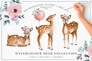 Watercolour Deer Collection