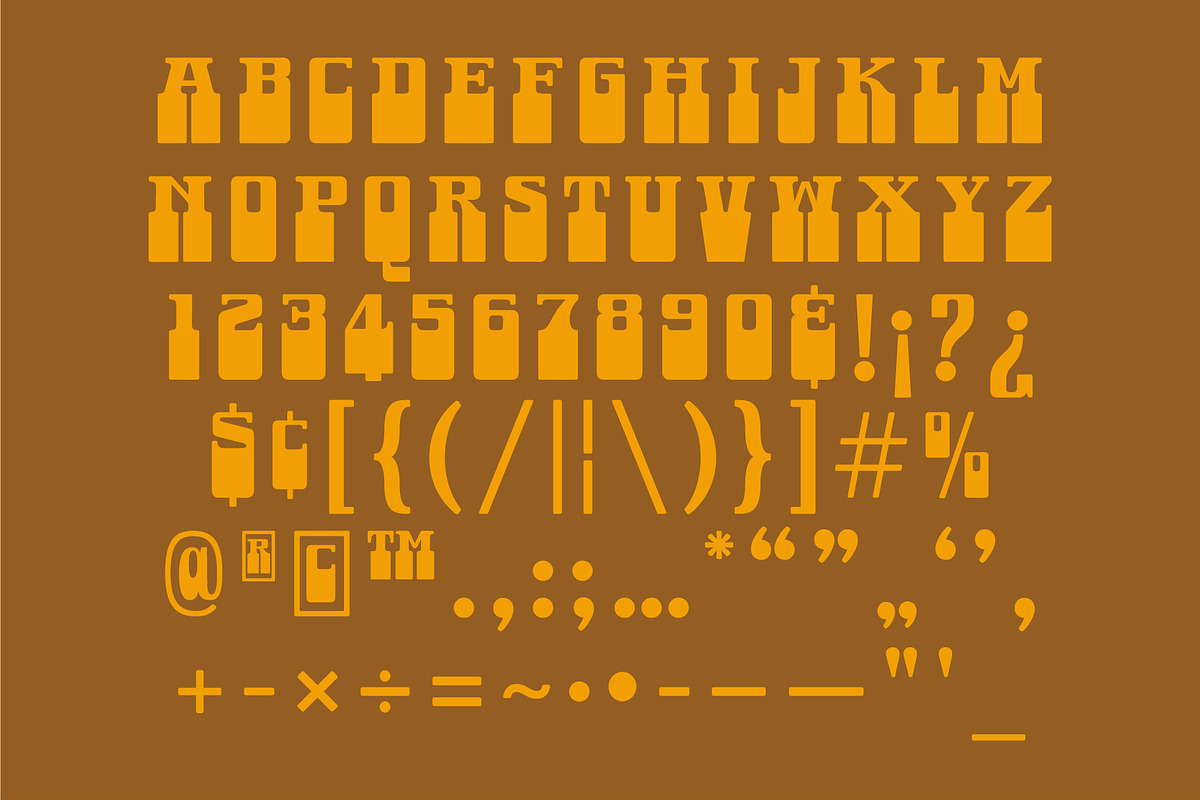 Albern - A Groovy 70s Font, a Serif Font by The Type Fella (Photo 2 of 6)