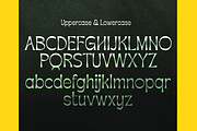 Apagah Reverse, a Serif Font by Differentialtype (Thumbnail 7 of 10)