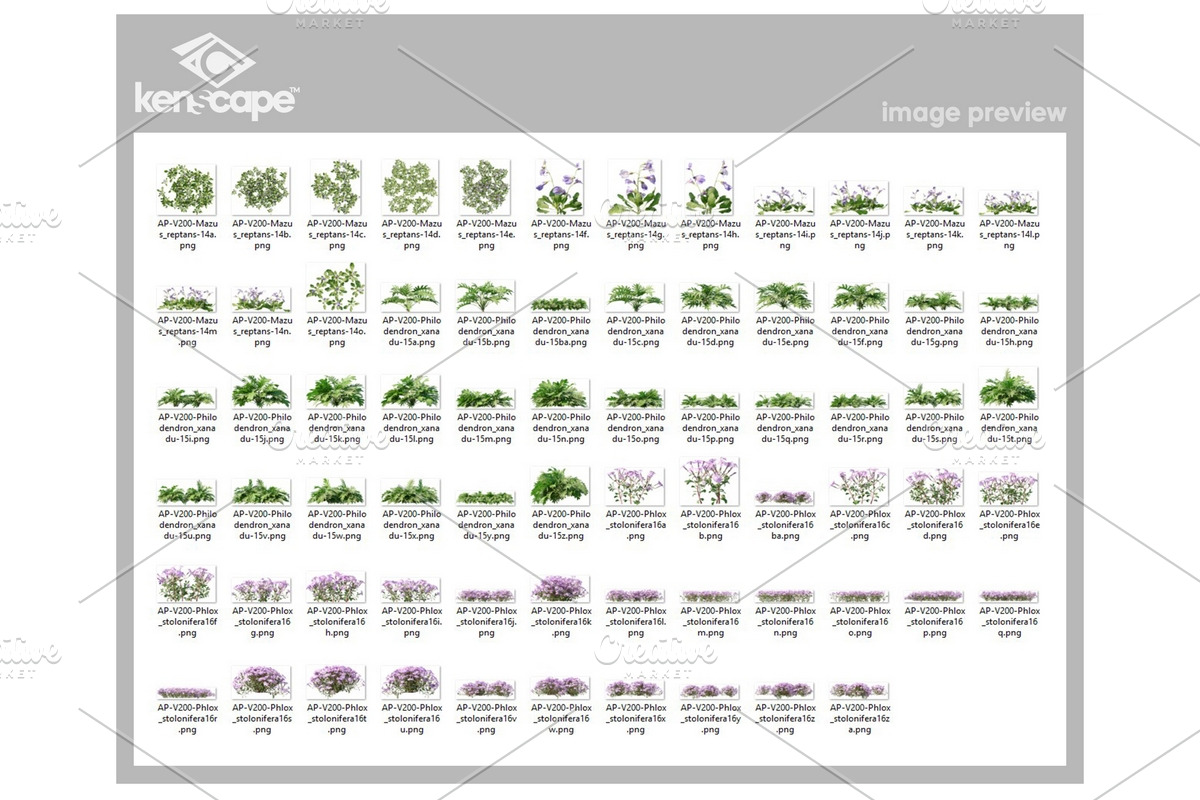 70 Assorted Plants Photo Overlays, a Nature Photo by KenScape (Photo 3 of 4)