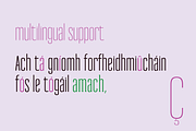 Reformer Font, a Serif Font by Jadugar Design Studio (Thumbnail 8 of 11)