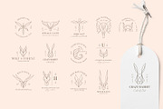 PURE LOGO KIT, a Branding & Logo Template by Luna Dreams (Thumbnail 2 of 8)