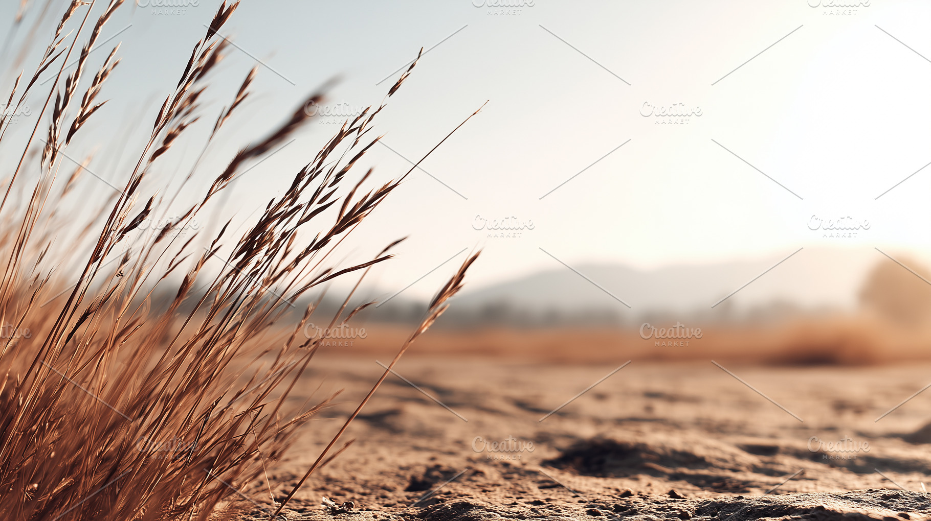 Dry grass on sandy ground in a warm, a Nature Photo by MistyDay