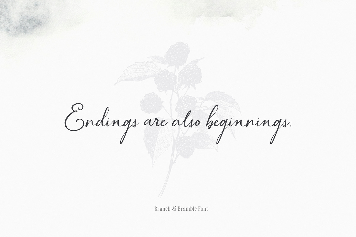 Branch & Bramble Calligraphy Font, a Script Font by Callie Rian & Co. (Photo 8 of 17)
