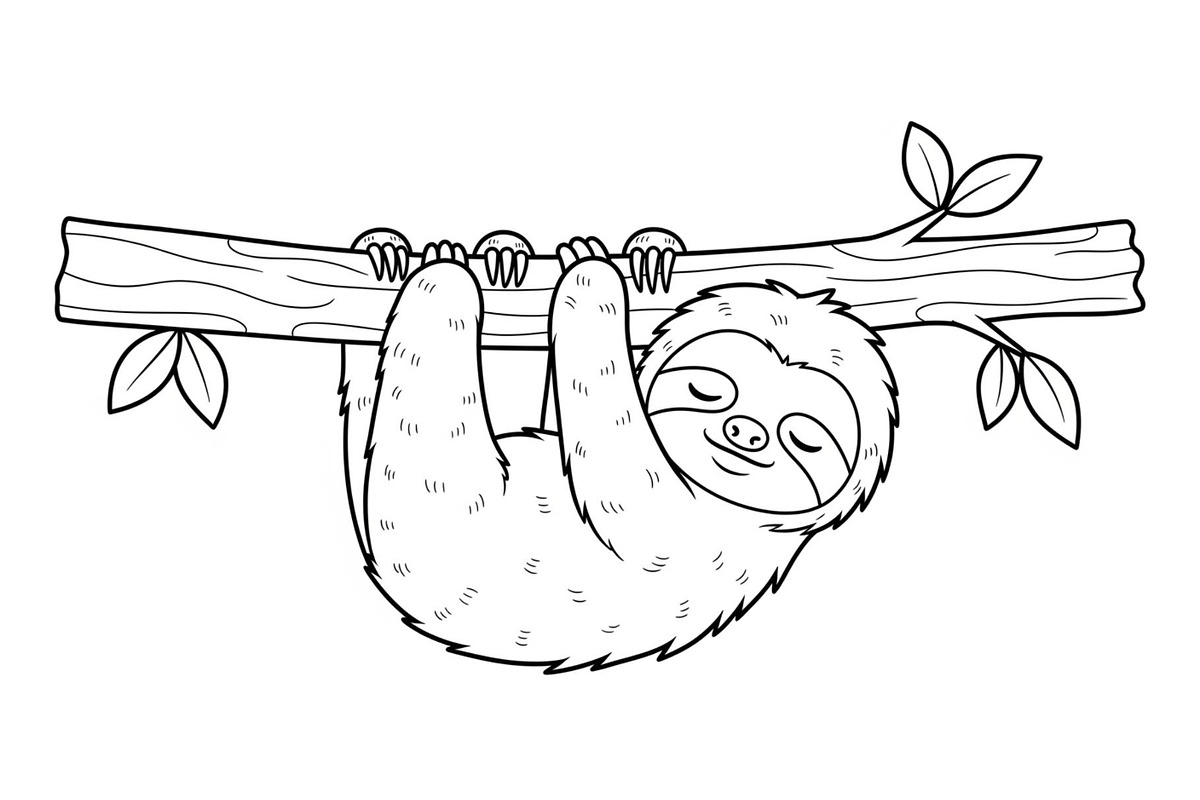 Cute Sloth Line Art Bundle, an Illustration by musafir_fashion (Photo 11 of 51)