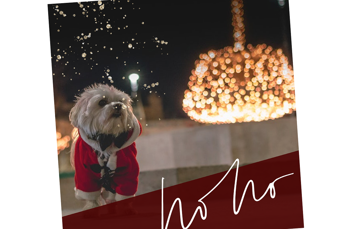 Christmas Phrases - Overlays Font preview 4