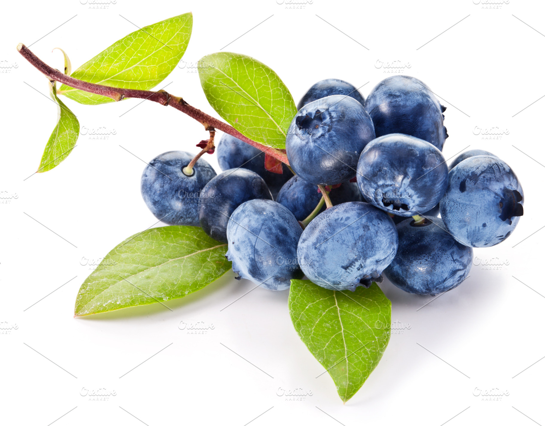 Blueberries with leaves on a white background., a Food & Drink Photo by Volff