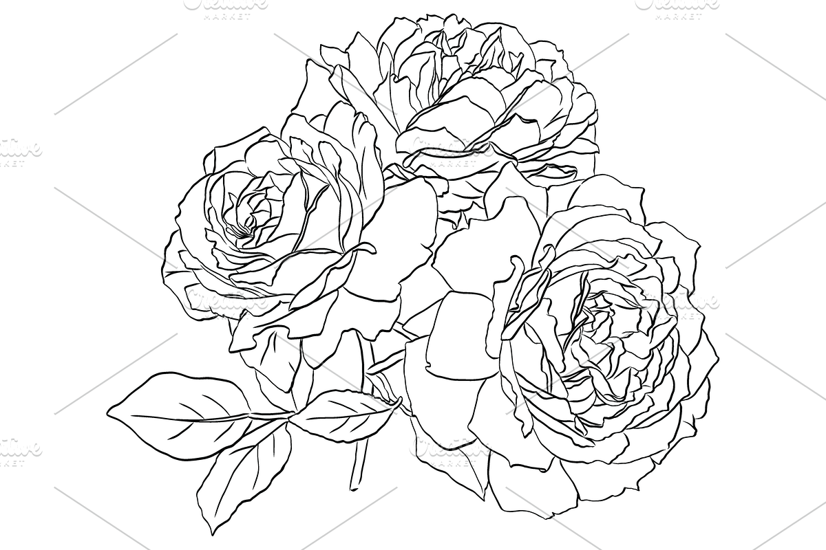 Bunch of Roses, an Object Graphic by VictoriaKStudio (Photo 6 of 8)