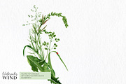 Wild floral clipart meadow flowers, an Illustration by Ksenia Shmakova (Thumbnail 6 of 11)