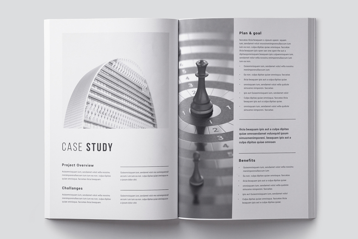 Marketing Case Study Template, Canva, a Brochure Template by DesVert (Photo 5 of 8)