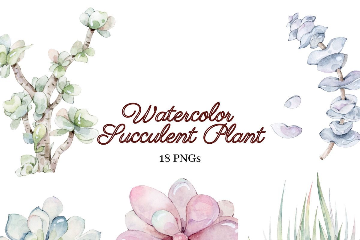 Watercolor Succulent Plants, an Object Illustration by ArtbyHien (Photo 1 of 4)