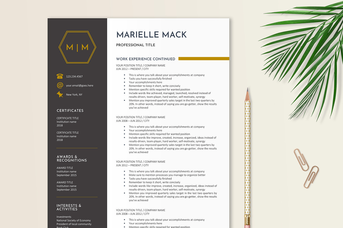 Elegant Resume Template, a Resume Template by Stanin Studio (Photo 3 of 10)