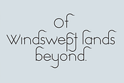 Windswept. Stunning sans serif font, a Sans Serif Font by LostandFoundry (Thumbnail 3 of 8)