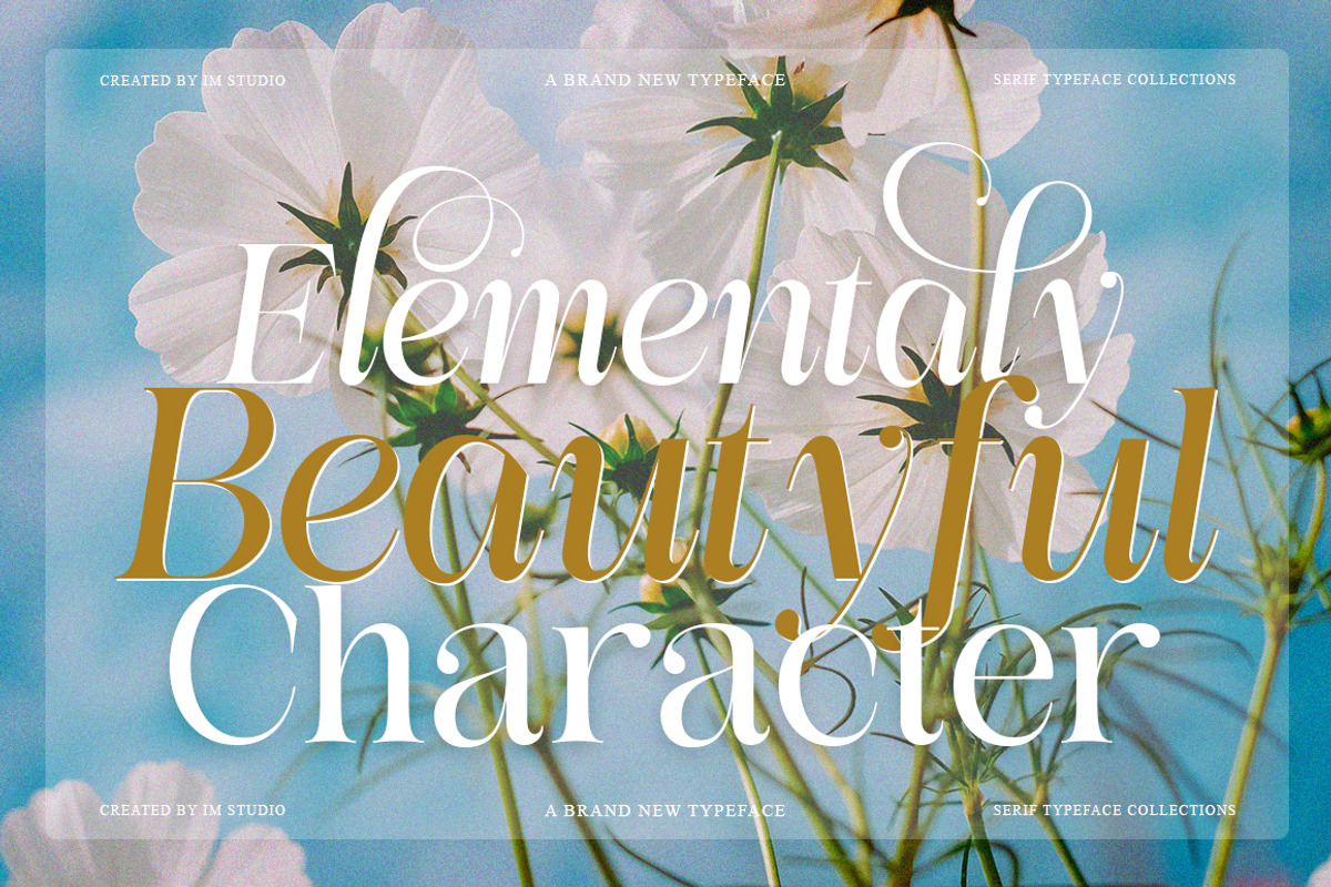 Medvilea Editorial | 15 Style Font, a Serif Font by IM Studio (Photo 7 of 13)