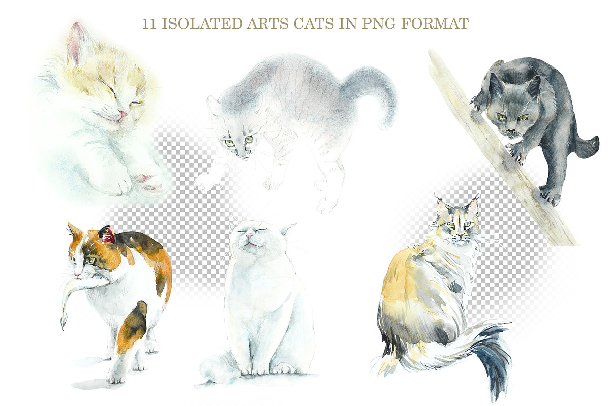 Street Cats, an Animal Illustration by Budogoshch (Photo 2 of 6)