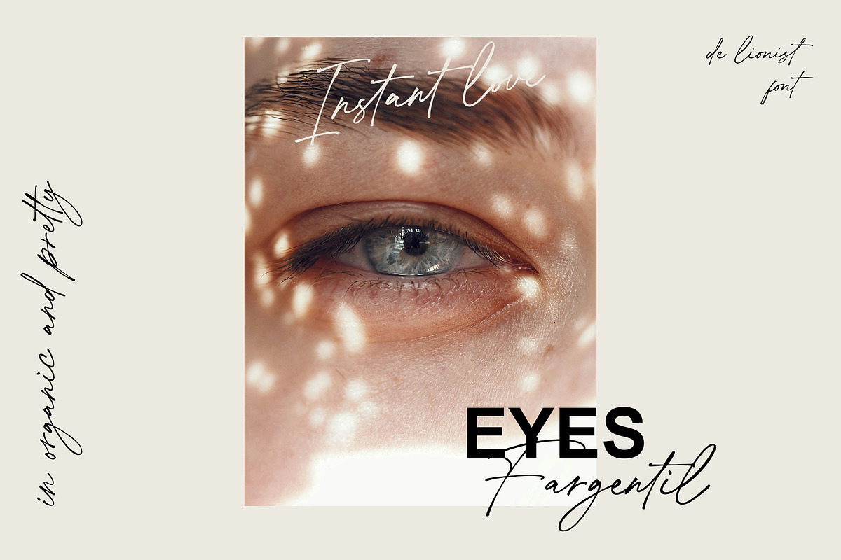 De Lionist - Handwritten Script Font, a Handwritten Font by Myn Type (Photo 13 of 15)
