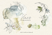 Vines Abstract Watercolor Clipart, a Decorative Illustration by whiteheartdesign (Thumbnail 4 of 9)