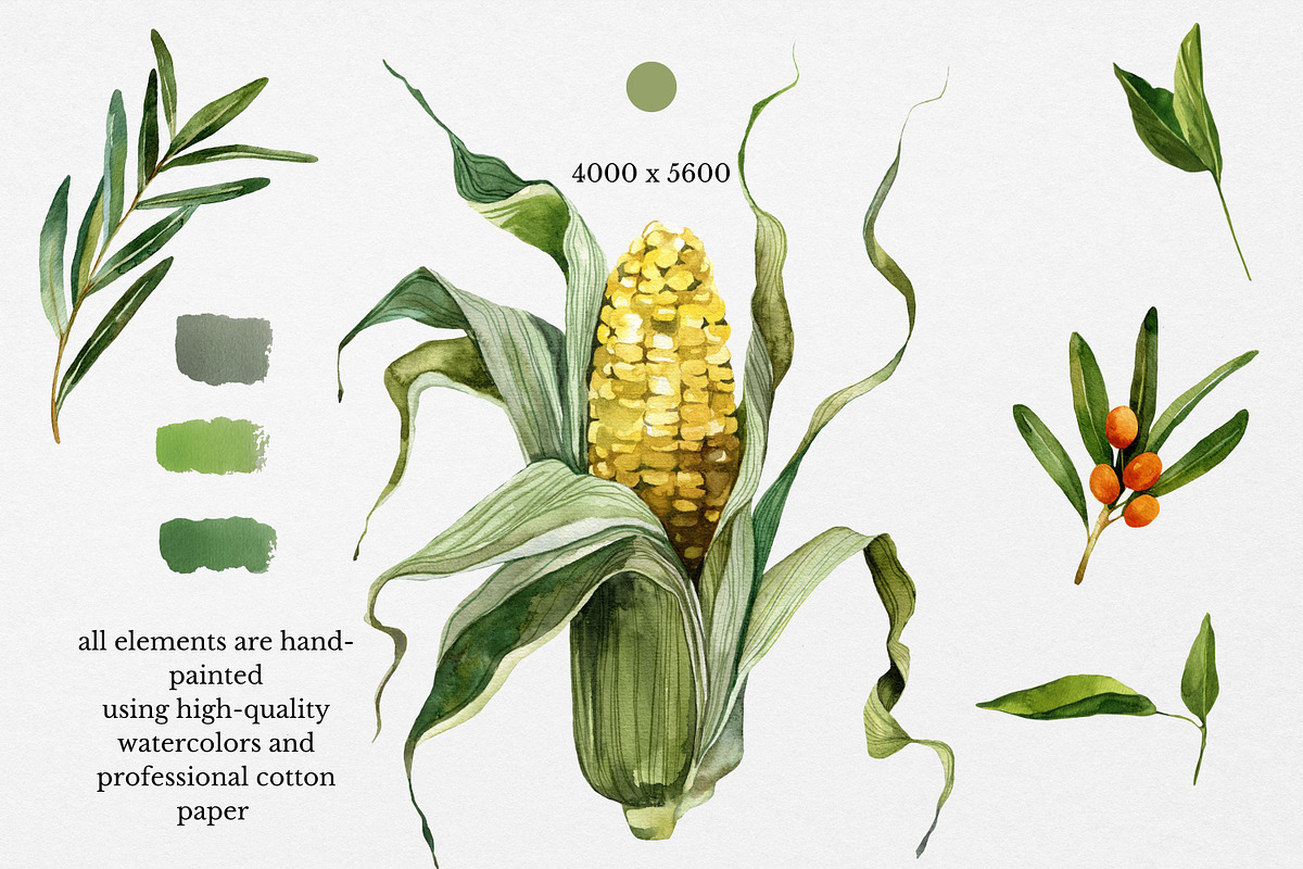 Organic Food: Watercolor Vegetables, a Food Illustration by Artcard Watercolor (Photo 2 of 17)