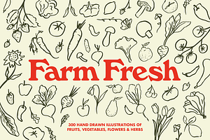 Farm Fresh Hand Drawn Illustrations, an Illustration by Oti Lu Studio
