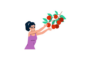 Young woman harvesting ripe red, a Food Illustration by pikepicture