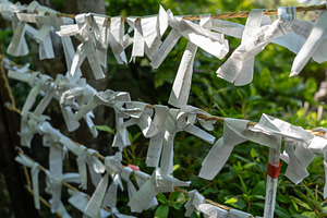 Omikuji paper fortunes at Daisho-in Temple, Miyajima Island, Jap, a Nature Photo by GoodGoods