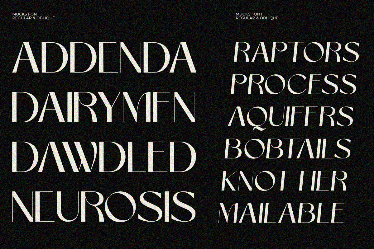 Mucks, a Sans Serif Font by zaaintype (Photo 7 of 11)