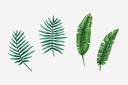 Vector Watercolor Tropical set, a Decorative Illustration by Bigio Designs (Thumbnail 3 of 4)
