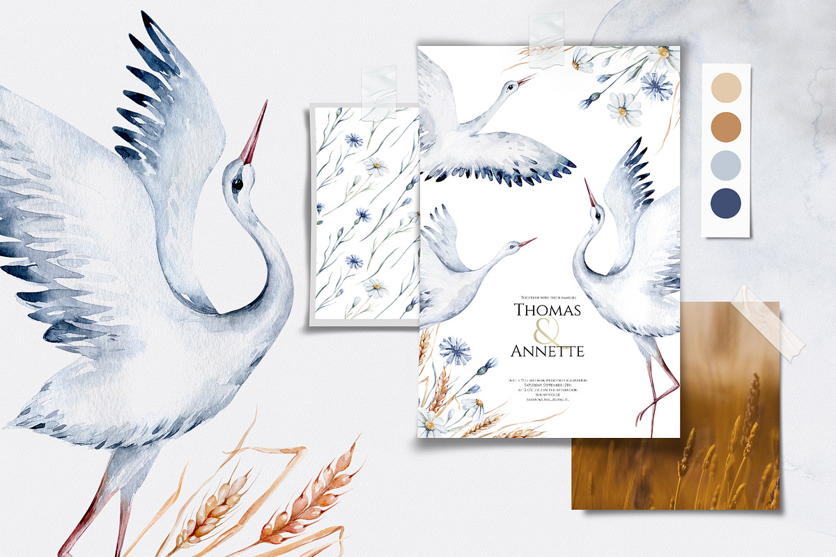 Storks and wild flowers collection, an Animal Illustration by Peace ART (Photo 4 of 15)