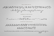 Sofity script font, a Script Font by LineTale (Thumbnail 4 of 8)